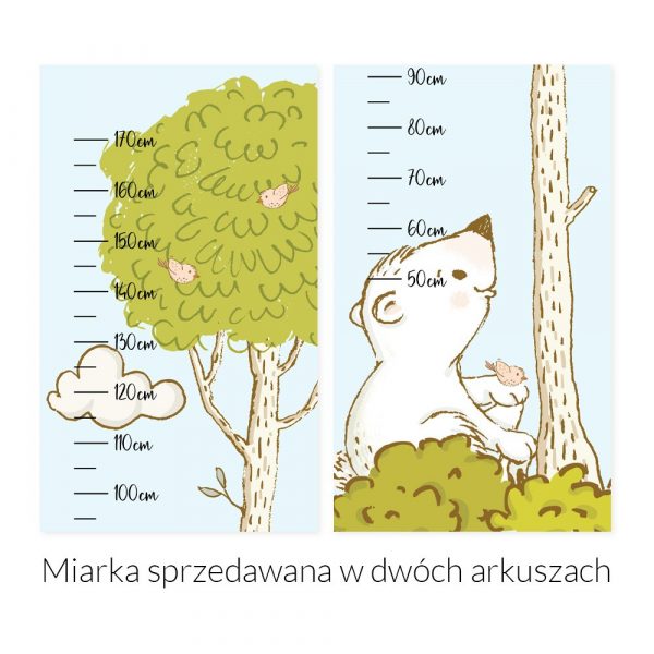 Miarka wzrostu jasnoniebieska