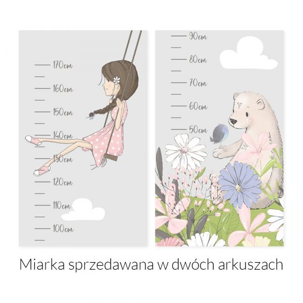 Miarka wzrostu miś na łące