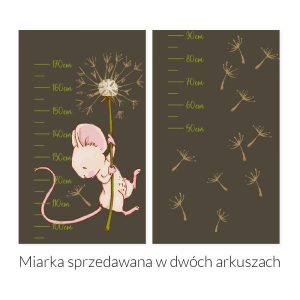 Miarka wzrostu dmuchawiec i myszka