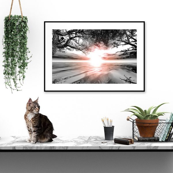 Plakat woda i drzewa