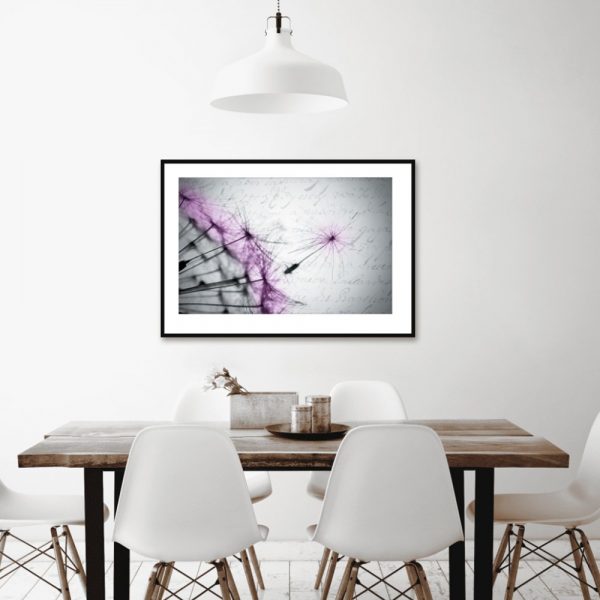 Plakat fioletowy dmuchawiec