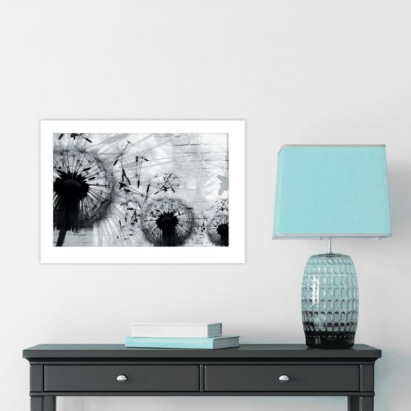 Plakat czarno-białe dmuchawce