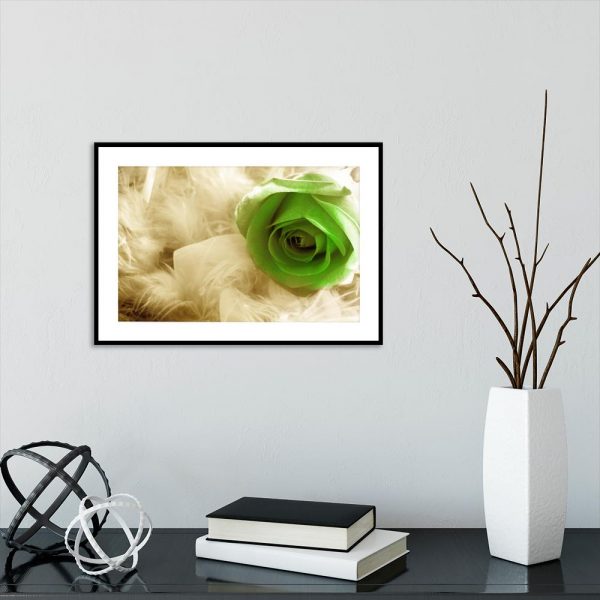 Plakat z motywem piórek i róży