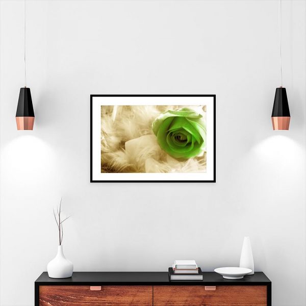 Plakat z beżowymi piórkami