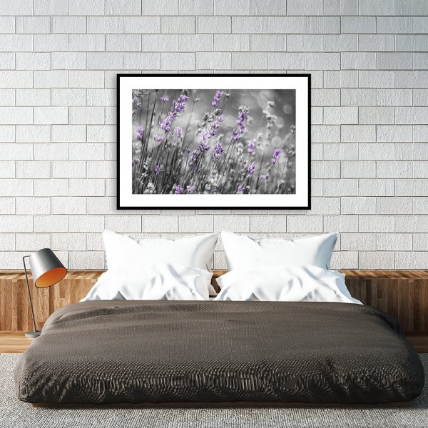 Plakat fioletowa lawenda