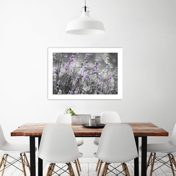 Plakat motyw lawendy