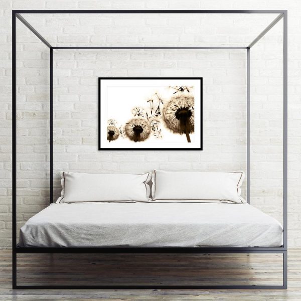 Plakat beżowe dmuchawce