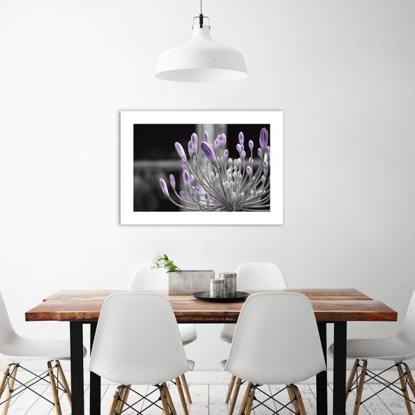 Plakat czarno-biały z pąkami