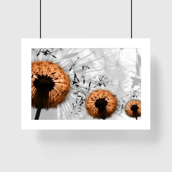 plakat dmuchawce na ścianę
