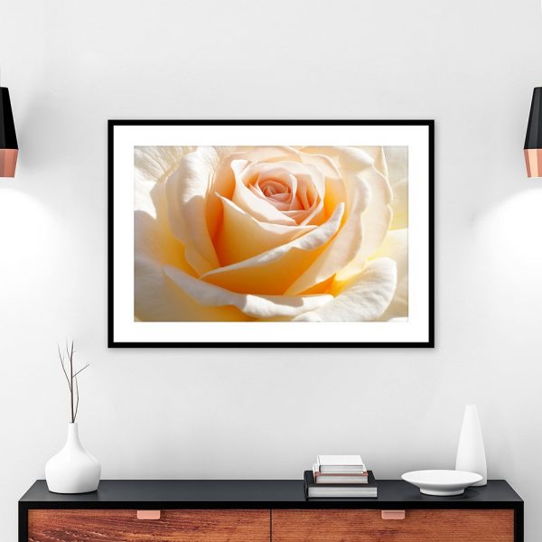 plakat beżowa róża nad komodę