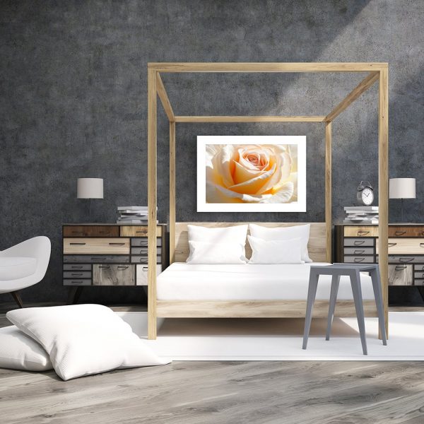 plakat beżowa róża nad łóżko