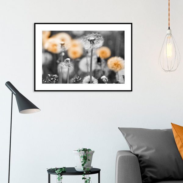 plakat z motywem dmuchawców do salonu