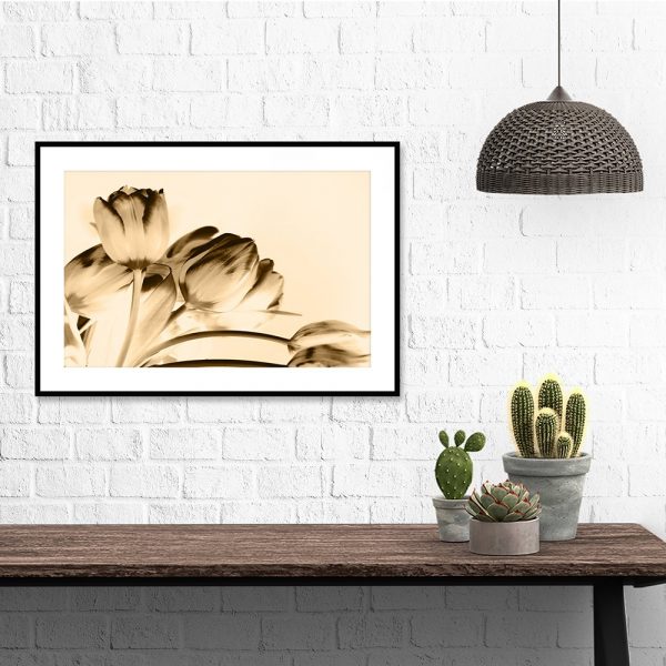 plakat z tulipanami