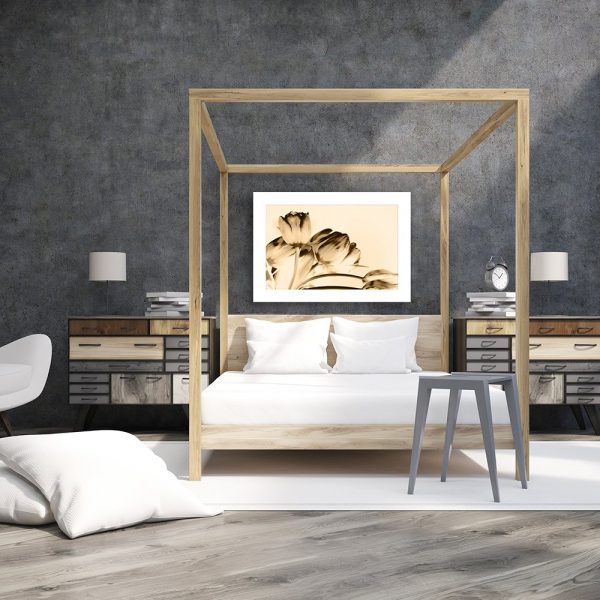 plakat tulipany w sepii na ścianę sypilani