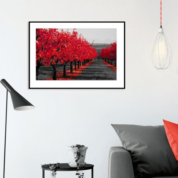 plakat jesienny sad do salonu