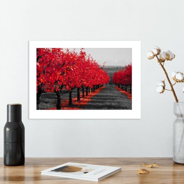 plakat z widokiem na sad na ścianę