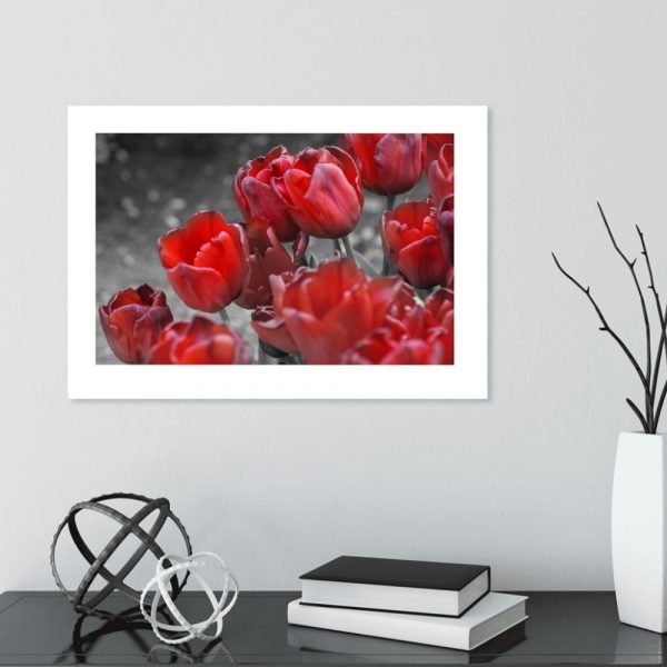 plakat z tulipanami do salonu