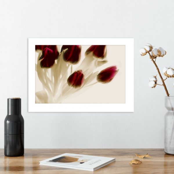 plakat czerwone tulipany na ścianę