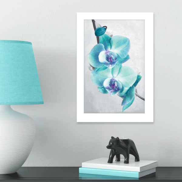 plakat z niebieskimi storczykami na ścianie