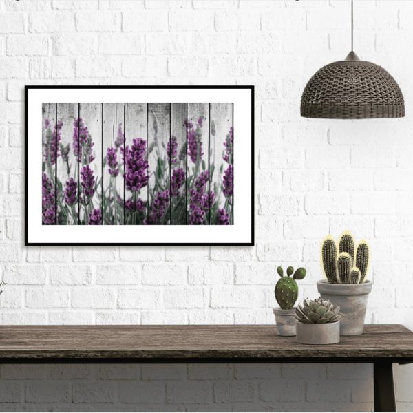 plakat lawendowe kwiaty na ścianie