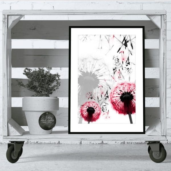 dmuchawce na plakacie w salonie