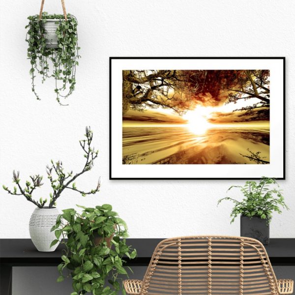 plakat z drzewami i zachodem słońca