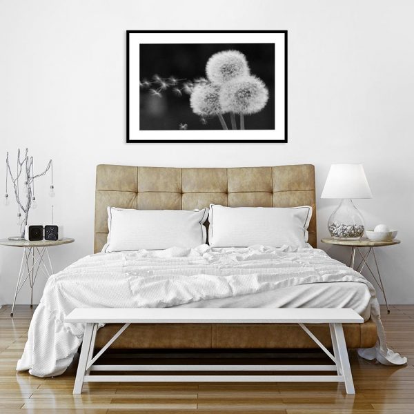 plakat z motywem dmuchawców do sypialni