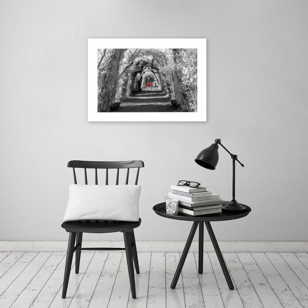 plakat z widokiem na park w salonie