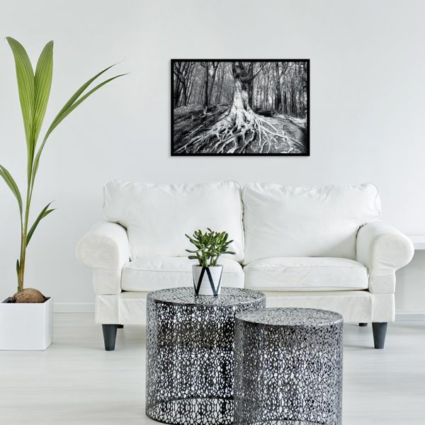 plakat z motywem lasu nad kanapę