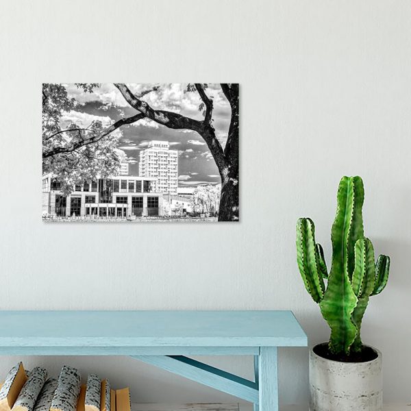 Obraz w kolorze czarno-białym