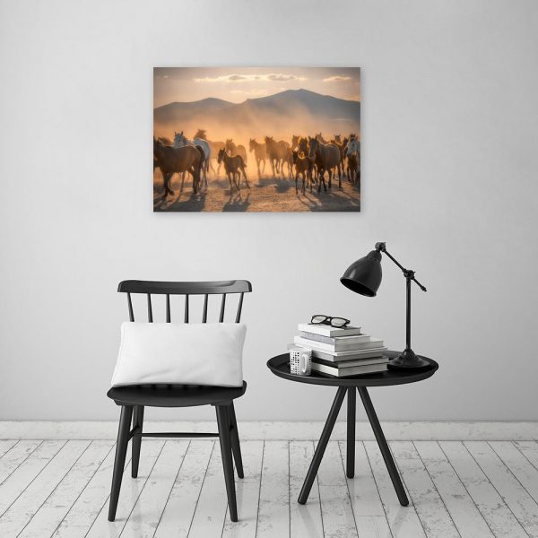 Obraz konie
