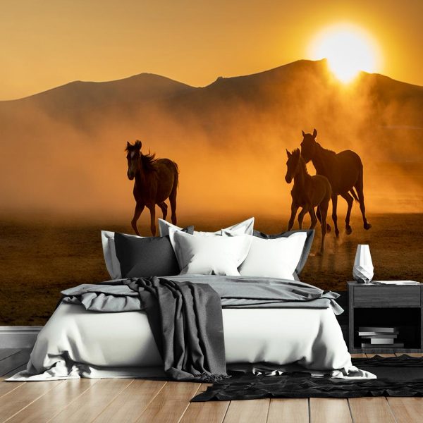 Tapeta z motywem koni