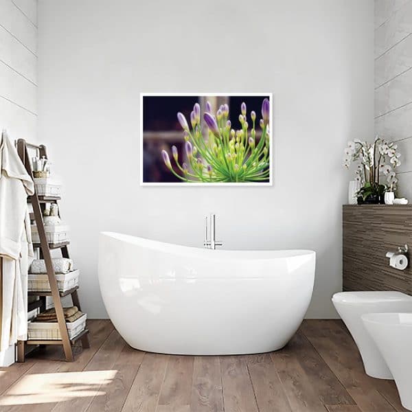 plakat z czosnkiem do łazienki