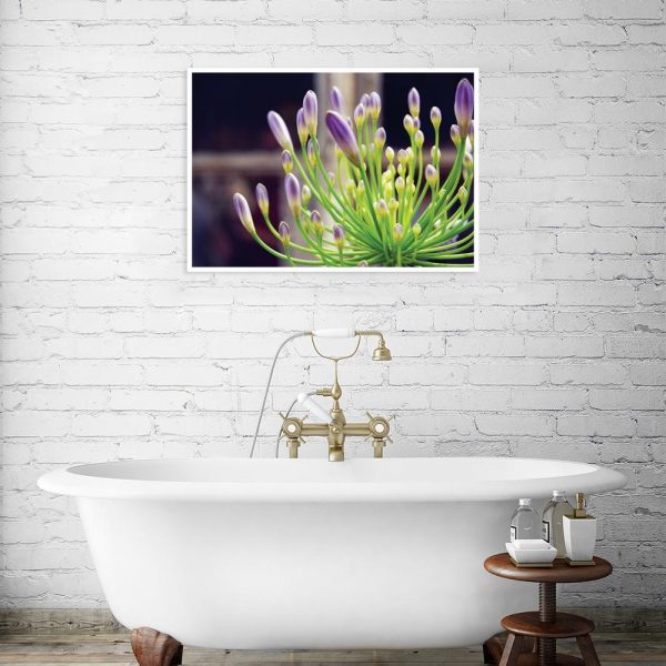 plakat z kwiatem czosnku nad wannę
