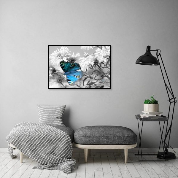 plakat z niebieskim motylem