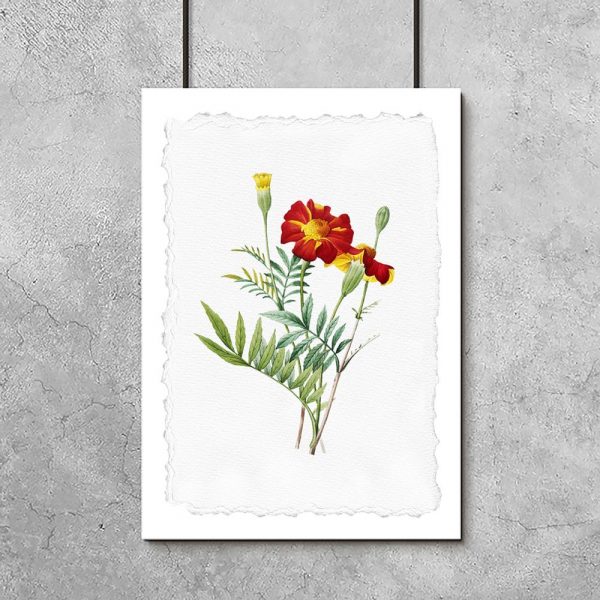 plakat w czerwone kwiaty