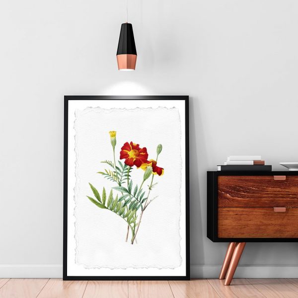 plakat kwiat na białym tle