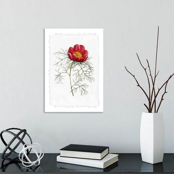 plakat dekoracyjny czerwony