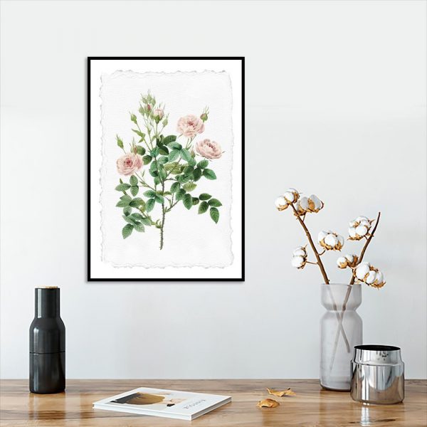 plakat z motywem rózy