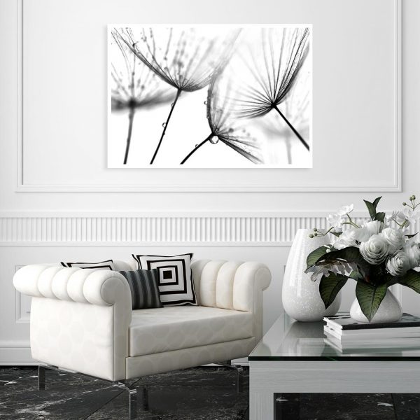 plakat z dmuchawcami