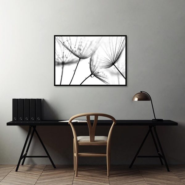 czarno-biały plakat dmuchawce