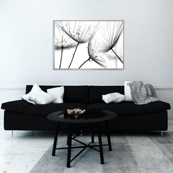 plakat dmuchawce z rosą