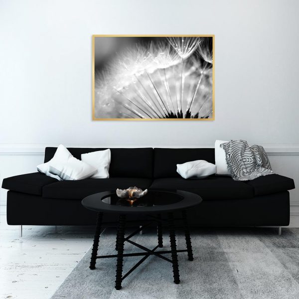 plakat ze zdjęciem dmuchawca