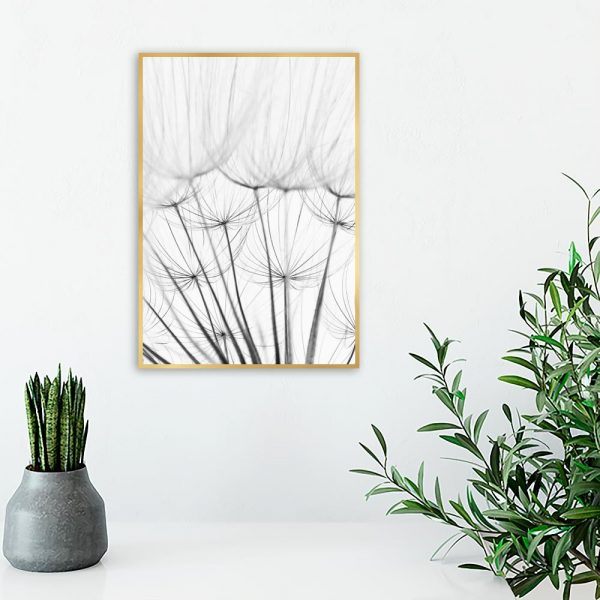 motyw dmuchawców na plakacie