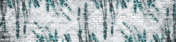 fototapeta z turkusową lawendą