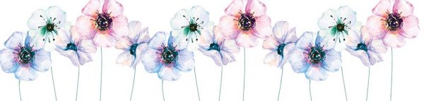 tapeta kuchenna subtelne kwiaty