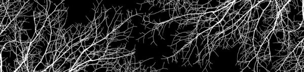 fototapeta kuchenna czarno-białe gałęzie