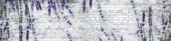 fototapeta kuchenna lawenda