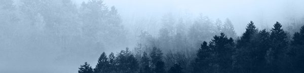 niebieska fototapeta kuchenna