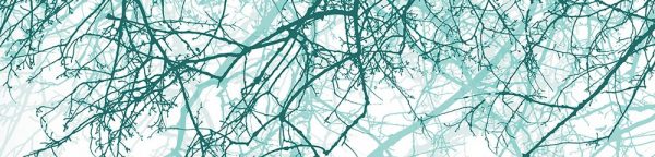 tapeta kuchenna z motywem gałęzi